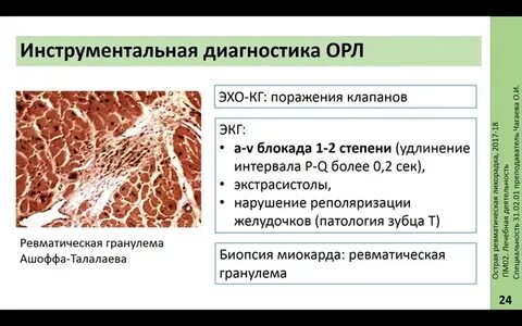 Орл это в медицине