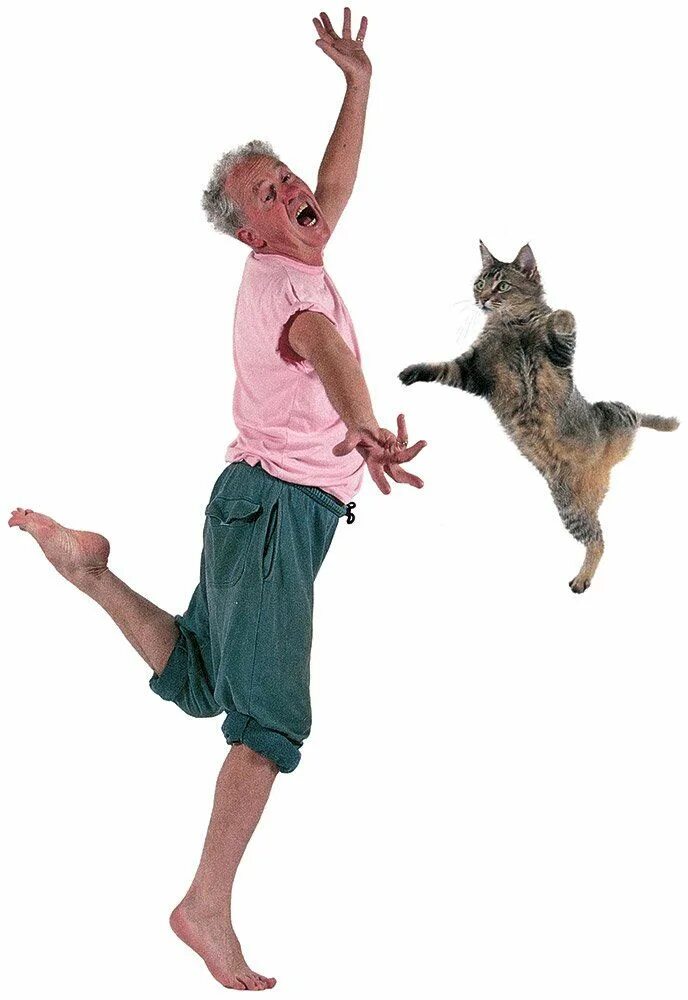 Показать плясать. Кошка танцует. Кошки танцоры. Человек танцует с котом. Смешной танцор.