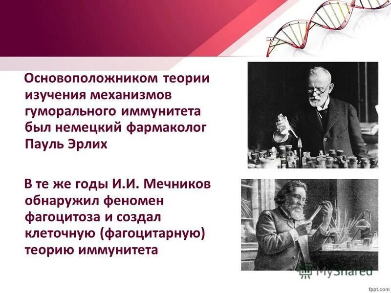 Теория изучения истории