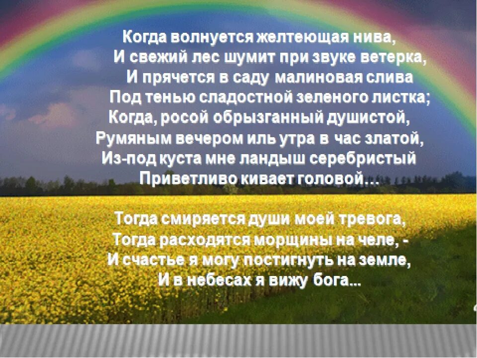 Когда волнуется желтеющая Нива. Желтеющая Нива стих. Стих когда волнуется желтеющая Нива. Лермонтова когда волнуется желтеющая Нива. Стихотворение желтеющая нива анализ