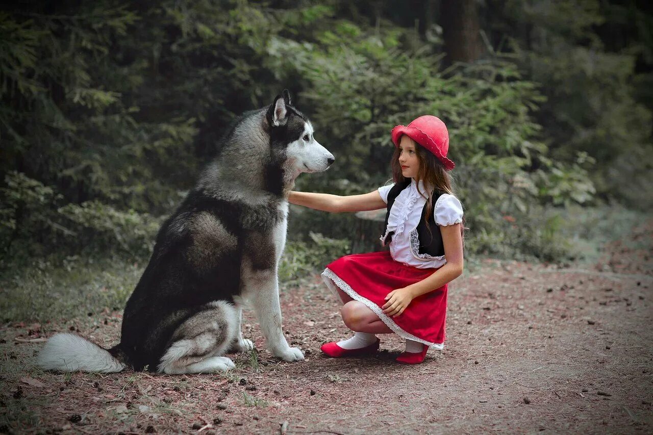 кино мой волк 2021. мой волк фильм. мой волк 2021. волк фильм 2022. мой волк фильм 2022.