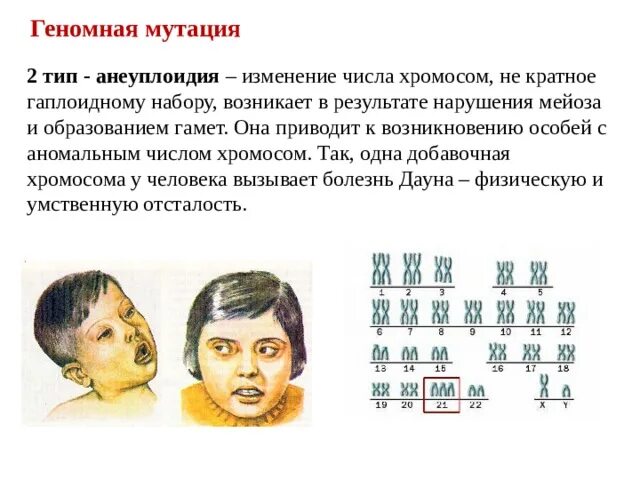 Презентация на тему "Мутагены" - скачать бесплатно презентации по Биологии - ска