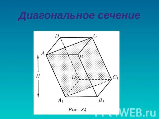 Любое диагональное сечение