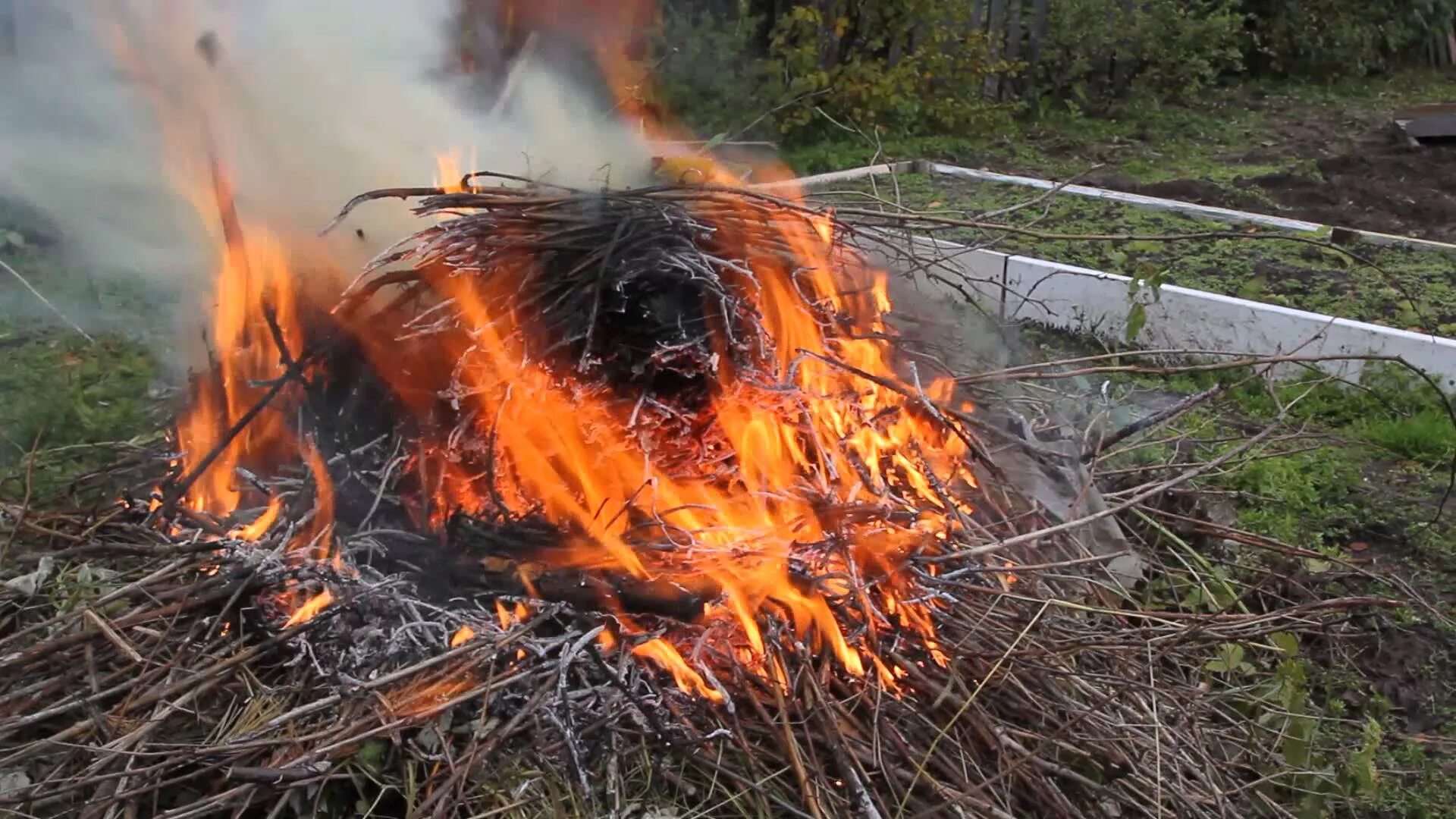 Костры в огороде. Сжечь траву на участке. Сжигание веток