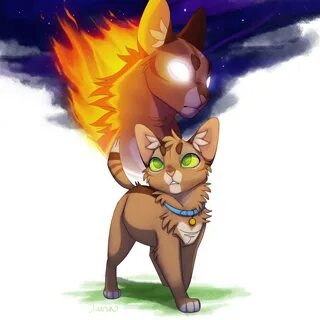 Warrior cats clans