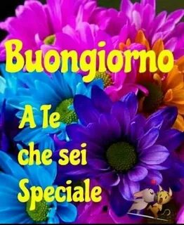 Che sei
