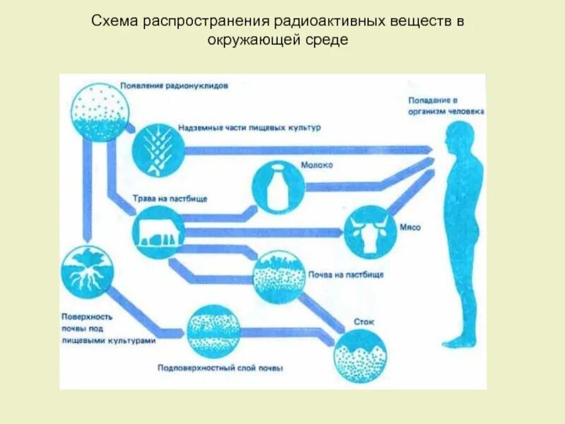Каким образом попадают в окружающую. Пути проникновения радионуклидов в организм человека. Пути попадания радионуклидов в организм. Пути поступление и распределения радионуклидов в организме человека.. Поступление радиоактивных веществ в организм.