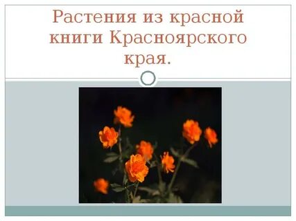 Растения красной книги красноярского края