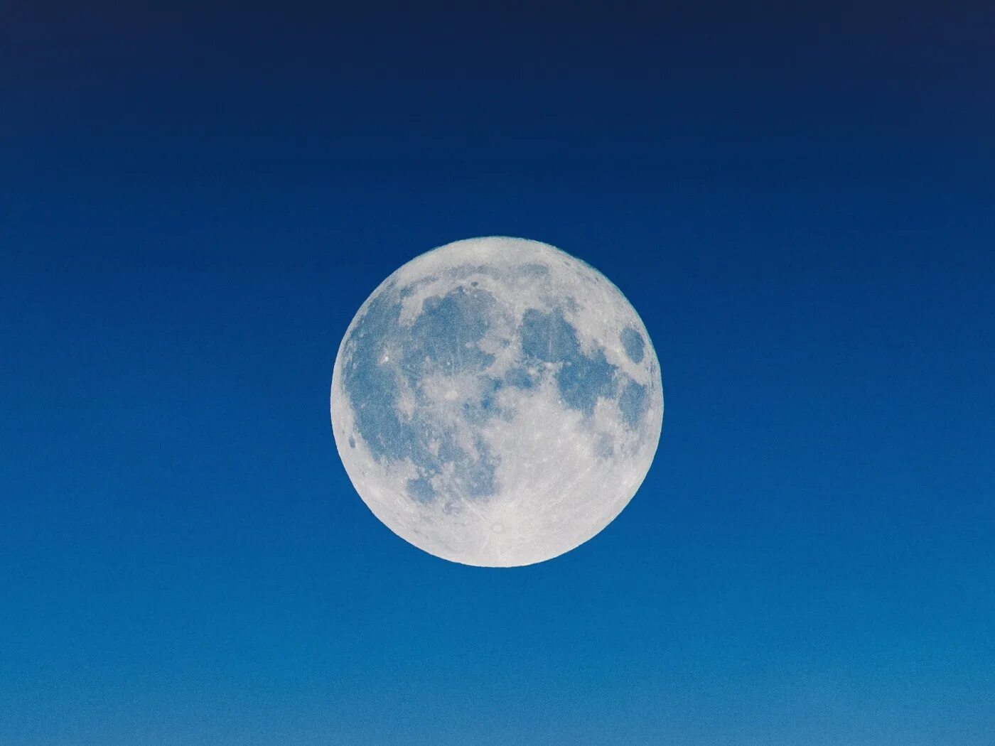Словно белая луна. Луна. Луна на небе. Фото Луны. Большая Луна на небе.