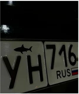 Что означает акула на номерах автомобиля