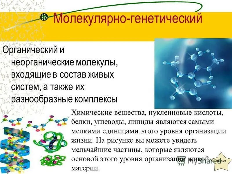 Неорганические молекулы. Органические и неорганические молекулы. Молекулярный состав живого. Молекулярно-генетический уровень организации живого.