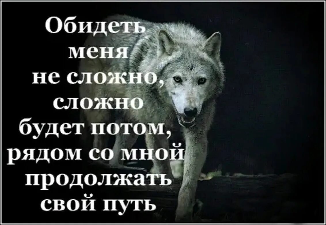 Сложно терпеть. Волка обидеть. Обиженный волк. Волк обиделся. Меня сложно обидеть.