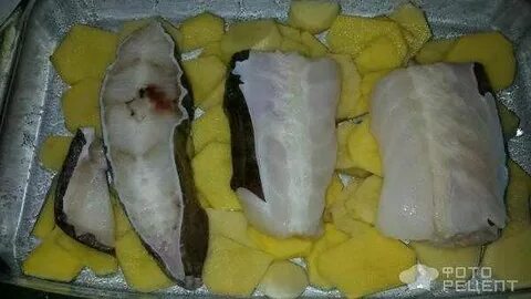 Стейк зубатки приготовление в духовке