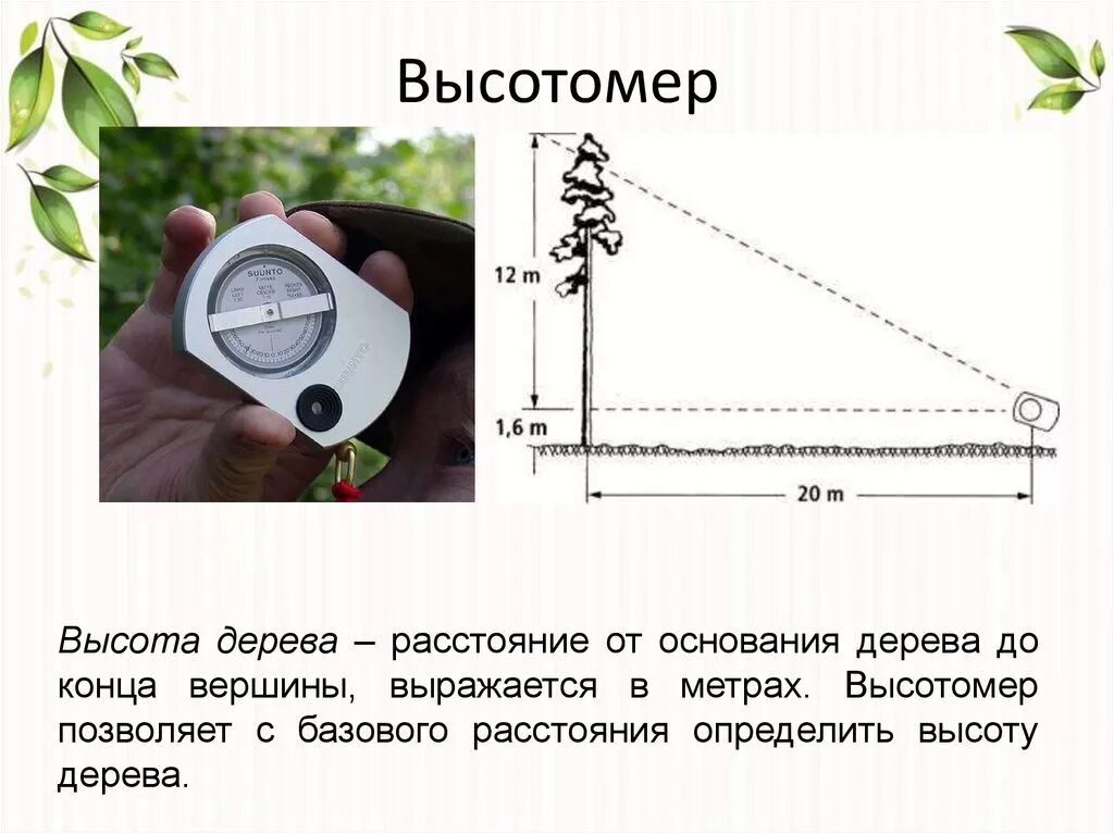 Каким способом измеряют. Измерить высоту дерева высотомером. Высотомер эклиметр ЭВ-1(высотомер). Высотомер эт-1м 2 шкалы. Измерение высоты дерева высотомерами Суунто.