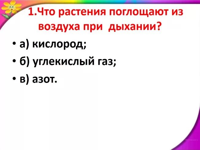 При дыхании растения поглощают а выделяют. При дыхании растение поглощает. Растения из воздуха при дыхании поглощают. Какое вещество поглощают растения из воздуха при дыхании. Растения придызании поглощают.