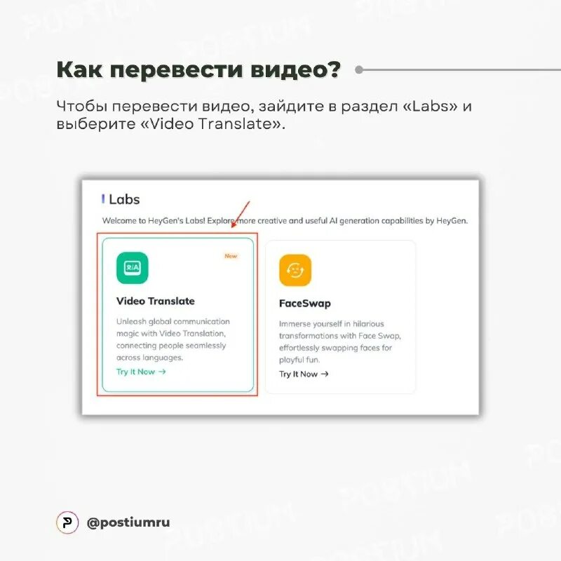 Heygen labs translate