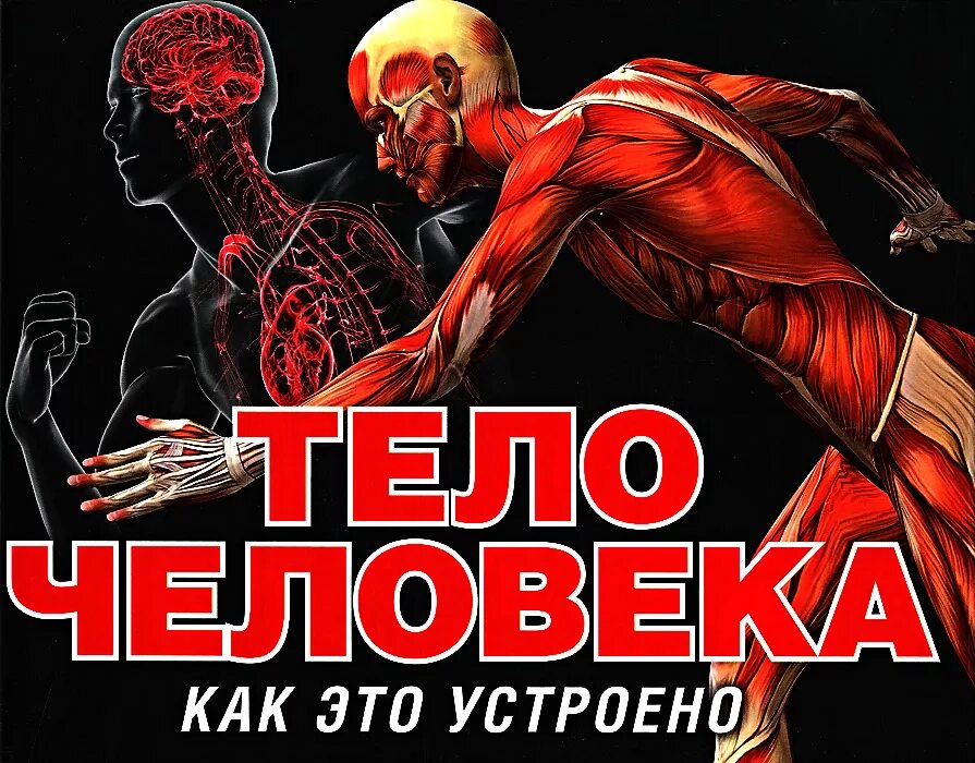 книга о санкт-петербурге в красном переплёте. обложки тело человека. человек книга питер. научно-популярная литература. книга метод питера линча стратегия и тактика.