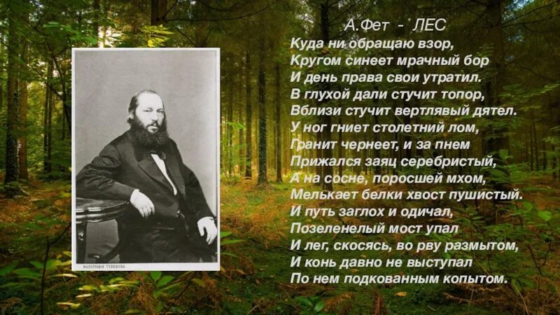 Стихотворение Фета лес. Фет лес стих. Поэты о родной природе 8 класс