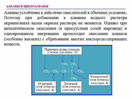 Участвует в окислении органических веществ