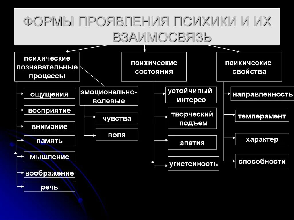 Структура психического состояния. Основные свойства проявления психики и их взаимосвязь. Основные формы проявления психики. Психические Познавательные процессы формы. Формы проявления психики и их взаимосвязь схема.