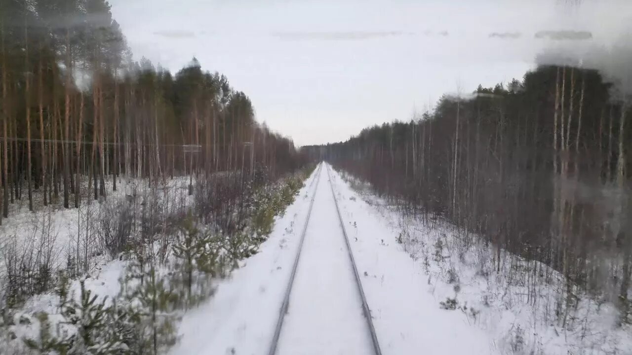 Пригородный поезд егоршино тавда. Вагон тавда егоршино. перегон тавда азанка. станция азанка в свердловской области. железная дорога в тавде.
