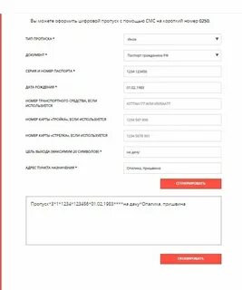 Цифры кода пропуска