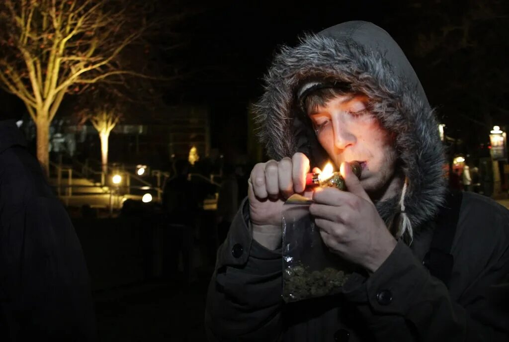 Heavy pot use can permanently damage short-term memory, study shows The Seattle 