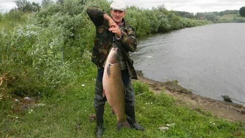 Амур 26