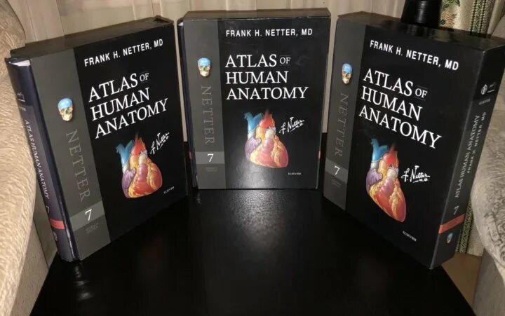 Атлас неттера 7 издание. Атлас неттера 6 издание. фрэнк неттер атлас анатомии. атлас анатомии неттера 7 издание. атлас анатомии человека фрэнк неттер 4 издание.