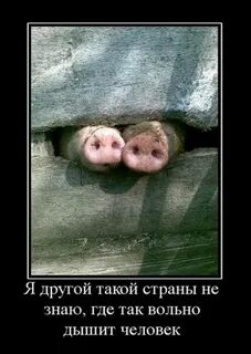 И ничего другого такого