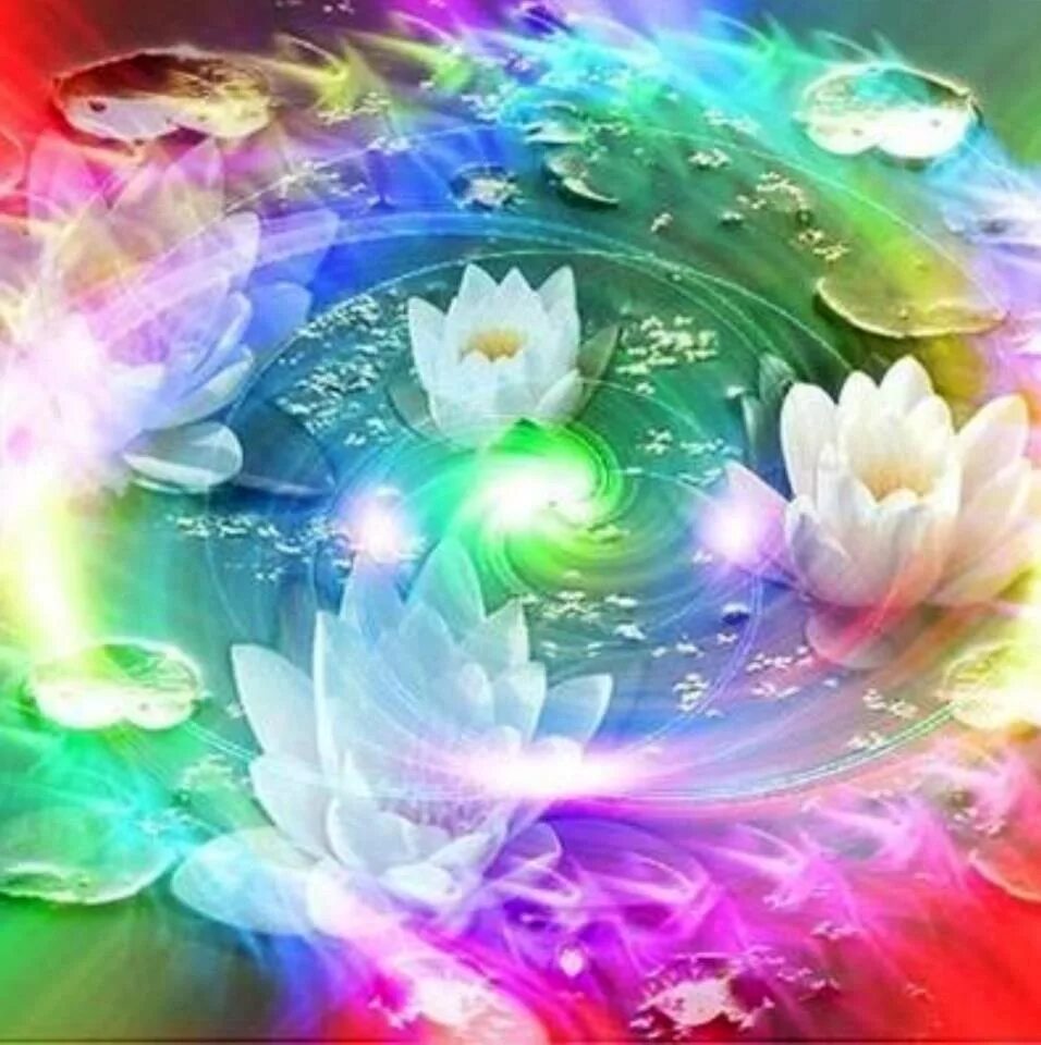 Магический цветок счастья. Кусты компактные цветы магия огня фото. Музыкальная природа. Весна абстракция. Красивая душа.