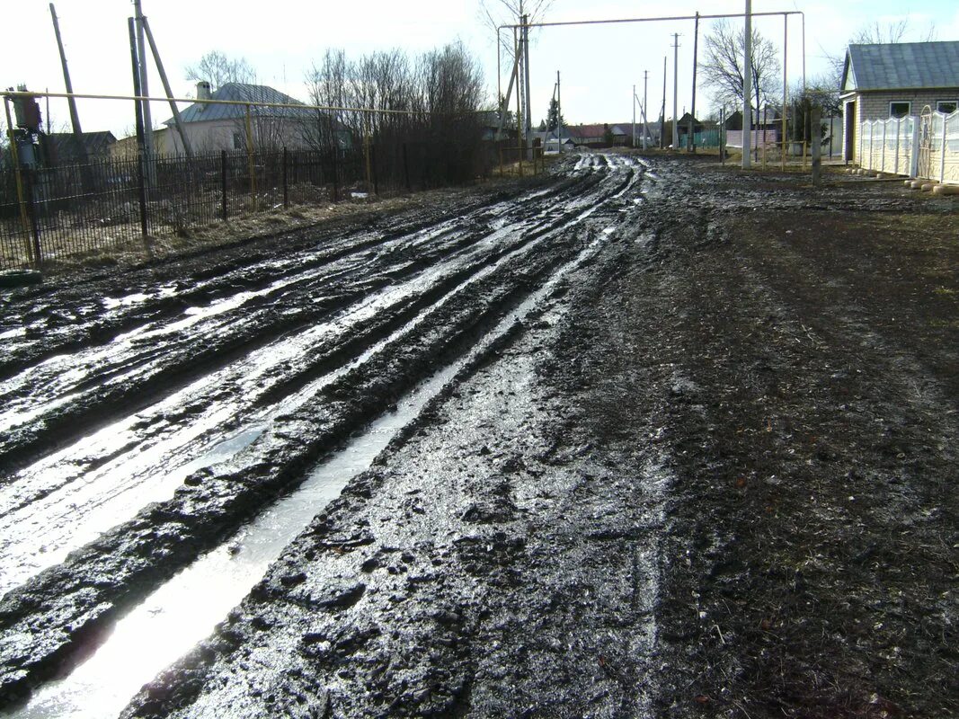 Село селезни Тамбовская область. Тамбовские село селезни. Дорога село селезни. Убитая дорога в деревне. Погода стежки тамбовской