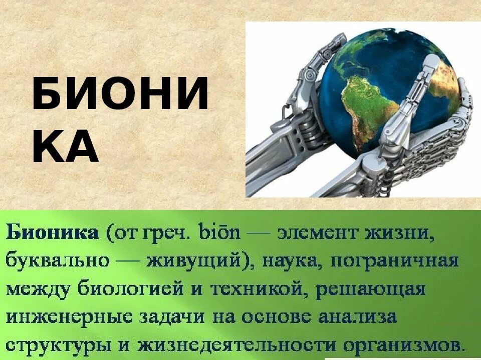 Бионика. Бионика презентация. Бионика наука. Бионика примеры в картинках.