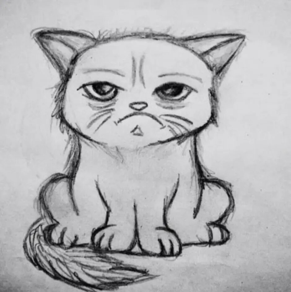 Рисунки для срисовки котики. Рисунок кошки карандашом для срисовки. Рисунки для срисовки лёгкие котики. Милые рисунки для срисовки карандашом. Милый котик рисунок карандашом легкий