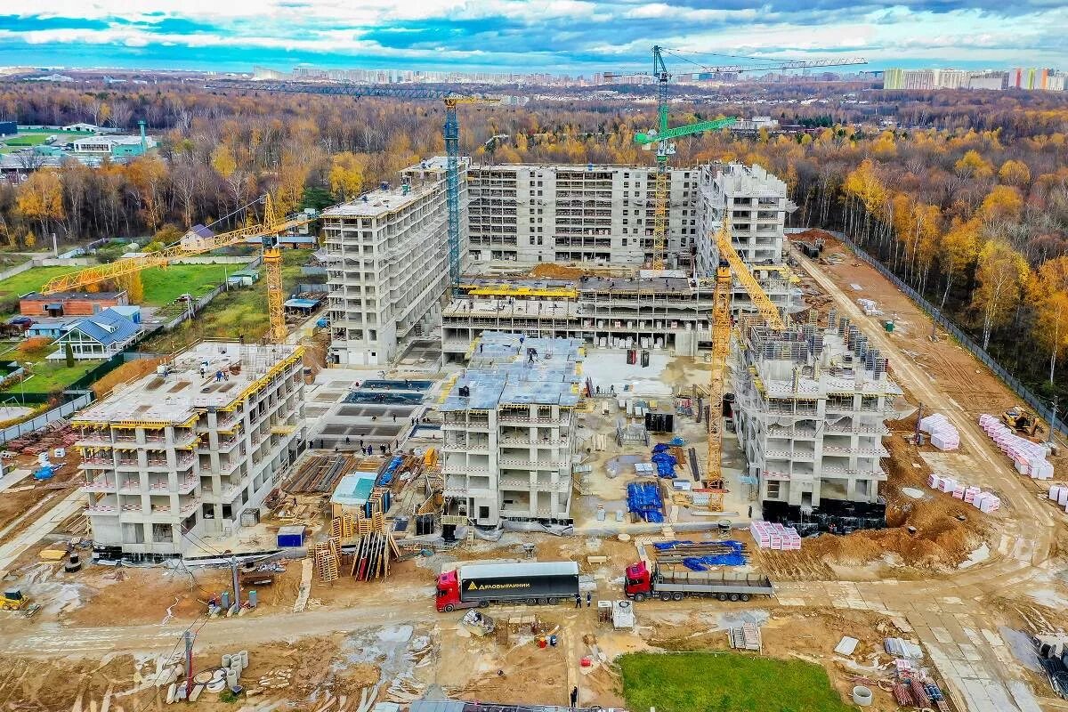 Лесное застройка