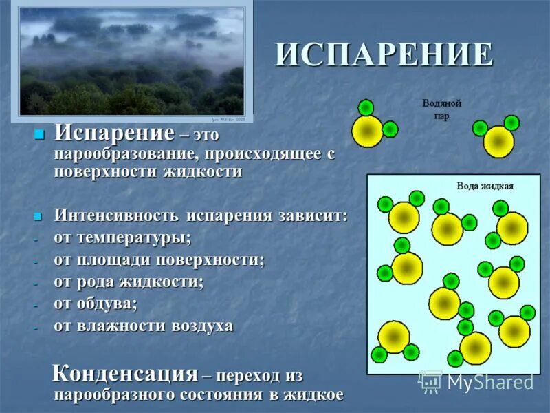 Испарение 6 класс биология кратко