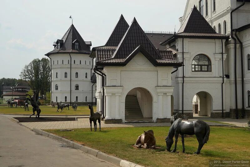 Конный парк московская область. Национальный конный парк русь. орлово московская область конный парк русь. парк русь в молоково.