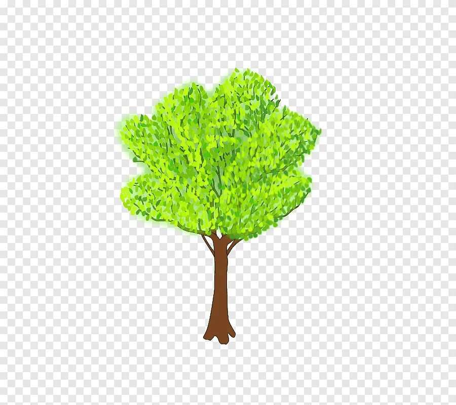 Open tree