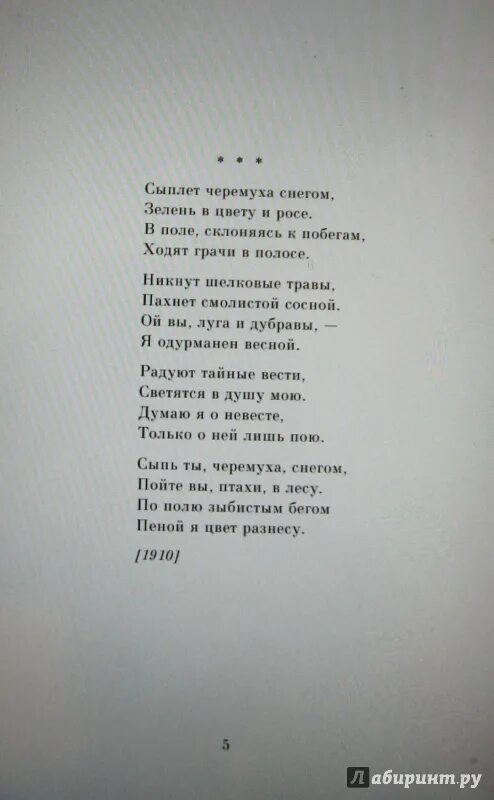 Стихотворение есенина сыплет. Сыплет черемуха снегом текст. Сыплет черёмуха снегом Есенин.