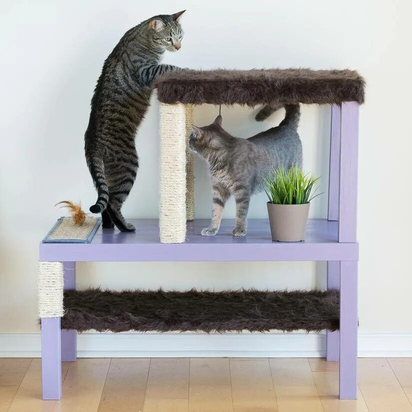Домик для кошек. Когтеточки комплексы для кошек. Мебель кот. Уголок для кота. Развлечения для кошек
