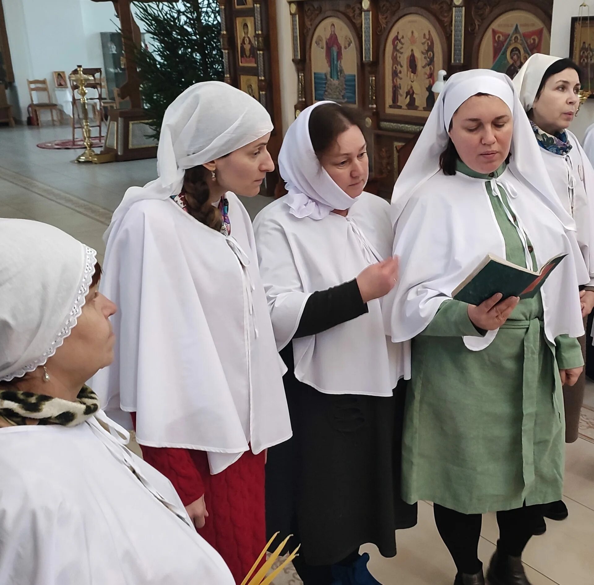Сестричество дата выхода. Сестричество милосердия. сестра милосердия. сестры милосердия фото.