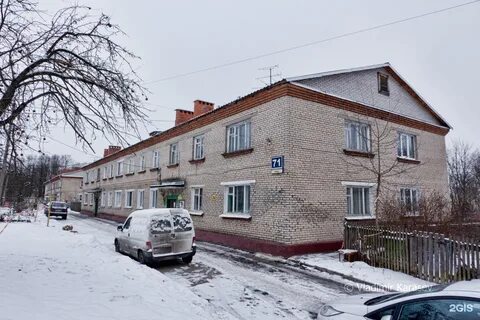 Птичное ул центральная 100