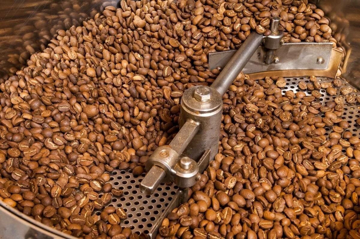 Обжарка кофейных зерен. Жареный кофе. Обжарка зерна. Roaster coffee зерно. Ростеры для обжарки кофе.