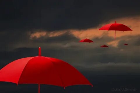 Her umbrella