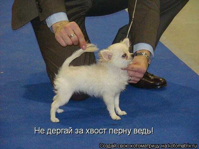 Почему нельзя тянуть
