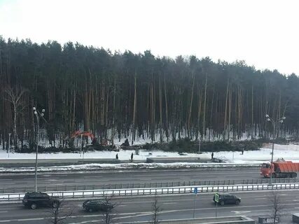 Раенза новопеределкино