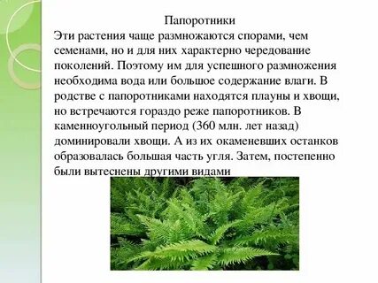 Для оплодотворения необходима вода