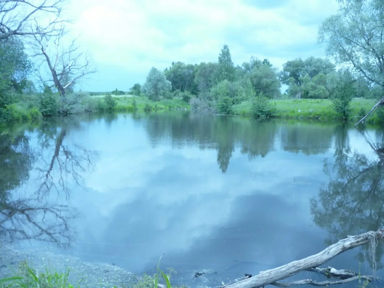 Малоярославец река. Река лужа в малоярославце. Озеро в малоярославце. Река карижа малоярославец. Река в малоярославце.
