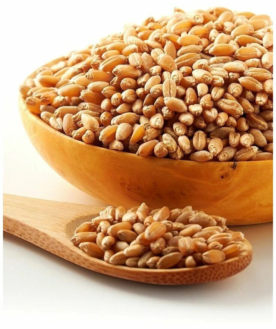 Семена пшеницы. Пшеница дурум. Зерно здравой идеи 5 букв. Злаки. Зерно здравой идеи 5 букв.