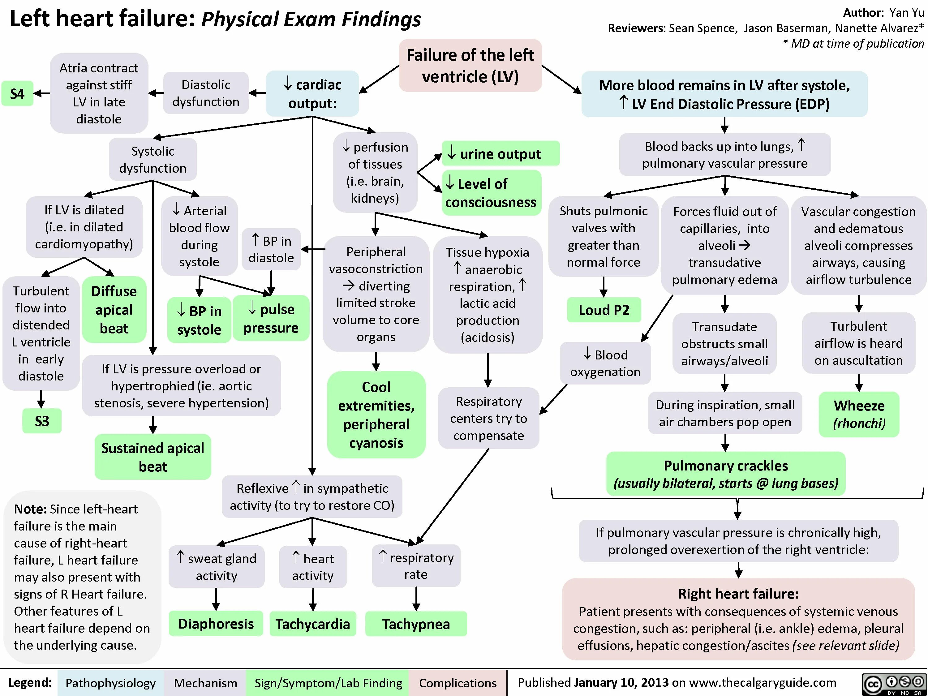 Acute Heart failure. Pathogenesis of edema of Heart failure. Failure during